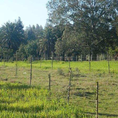 Casa De Campo Lo De Fatsia Colonia del Sacramento Værelse billede