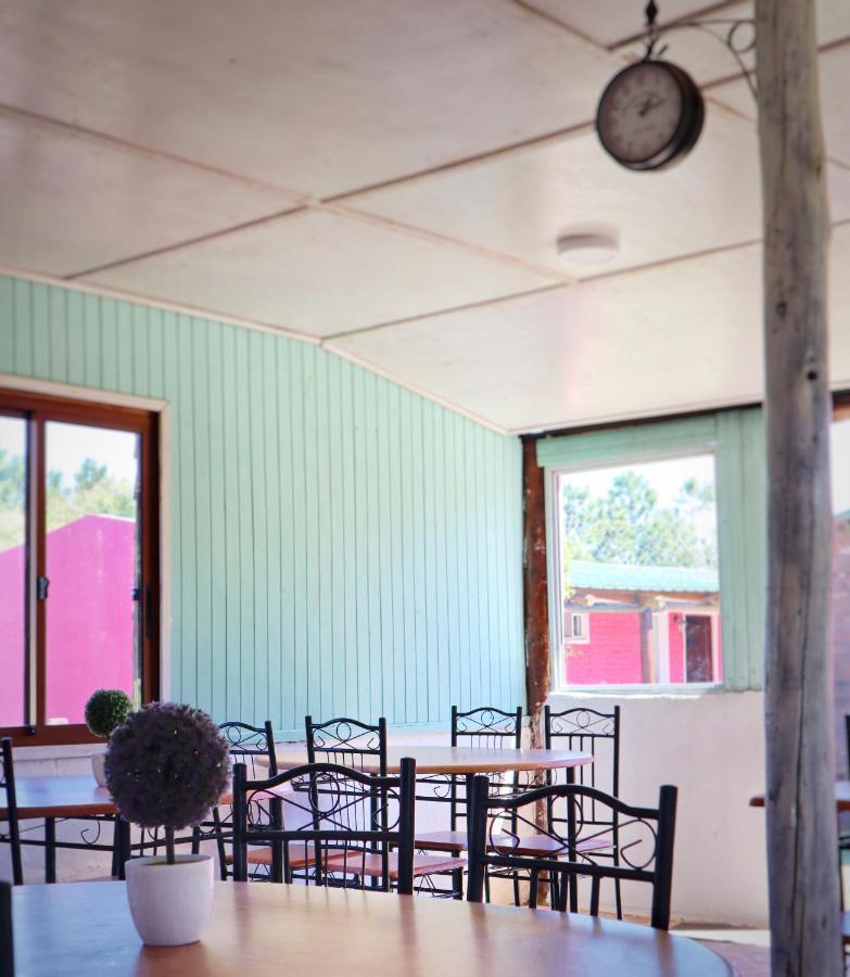Casa De Campo Lo De Fatsia Colonia del Sacramento Eksteriør billede