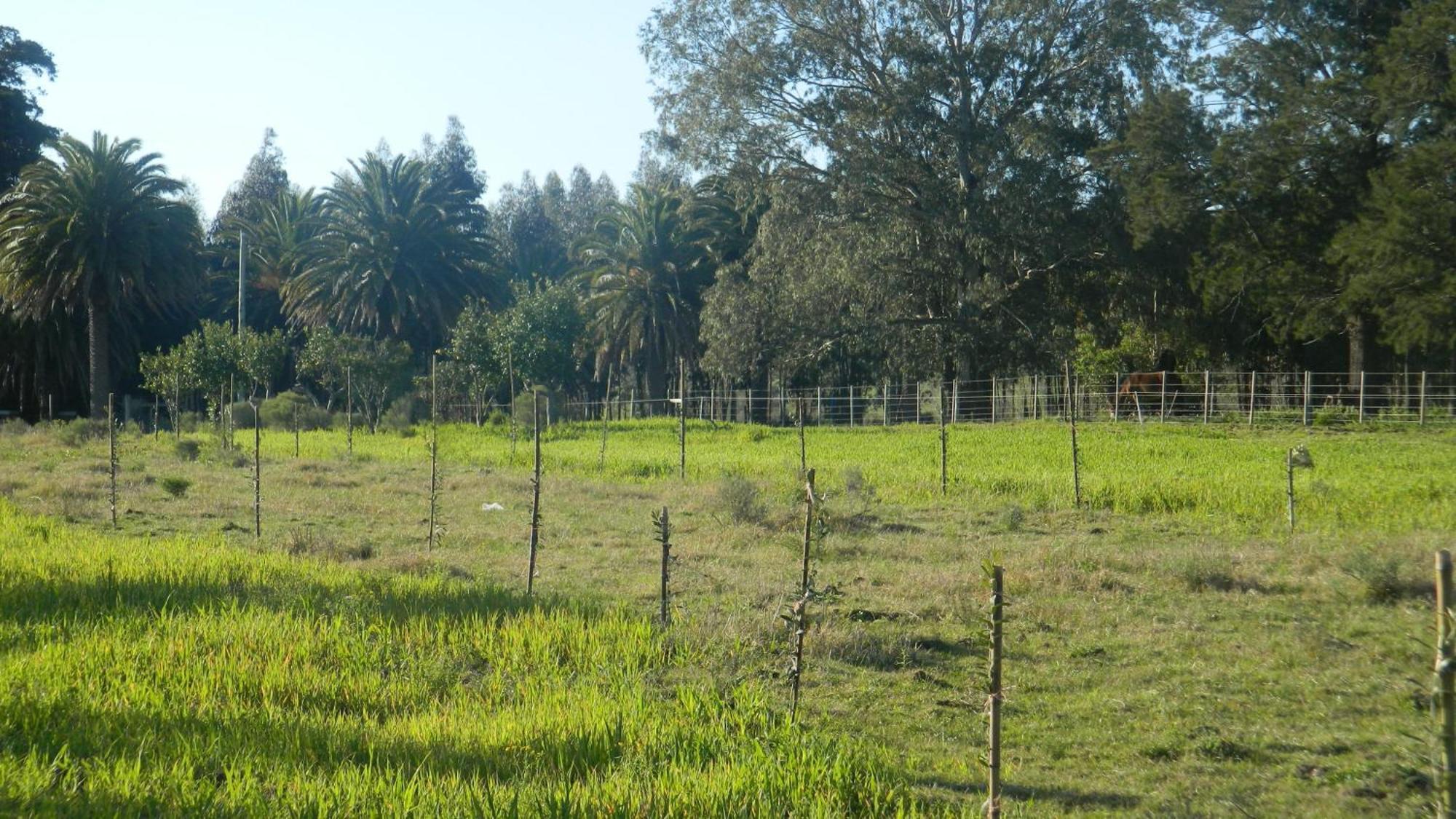 Casa De Campo Lo De Fatsia Colonia del Sacramento Værelse billede