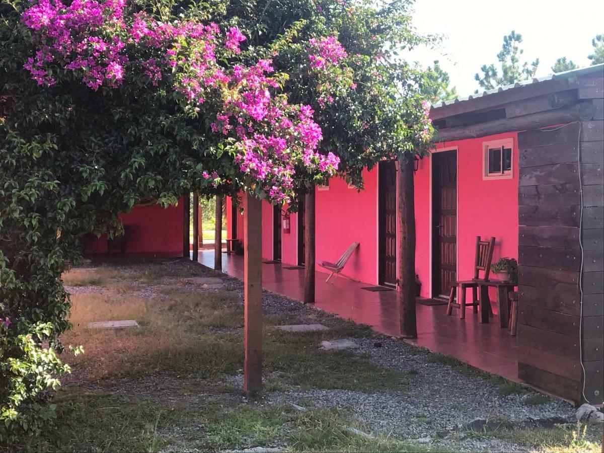Casa De Campo Lo De Fatsia Colonia del Sacramento Eksteriør billede