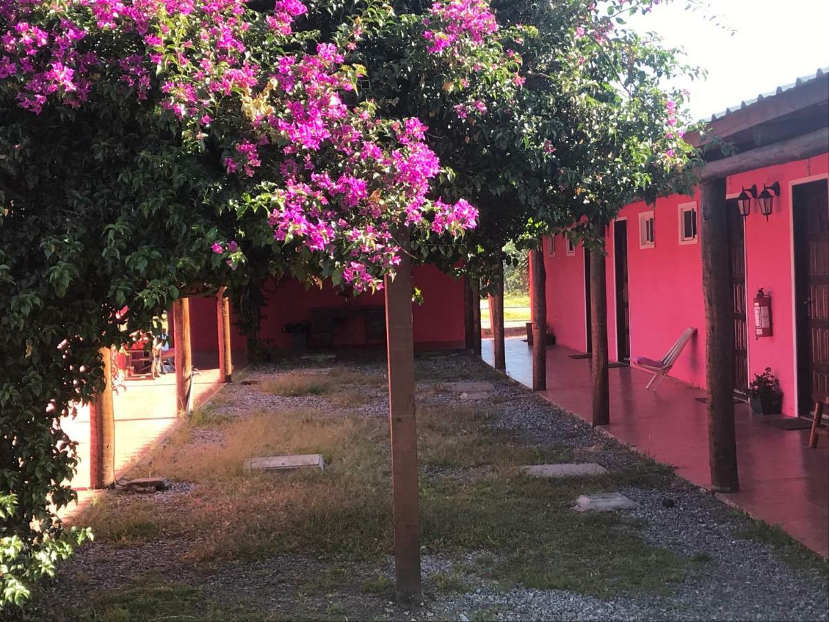 Casa De Campo Lo De Fatsia Colonia del Sacramento Eksteriør billede